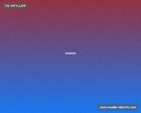 网络安全竞技是什么